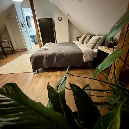 Apartamenty Astor - Ksiezycowy Szczawno-Zdroj Eksteriør billede
