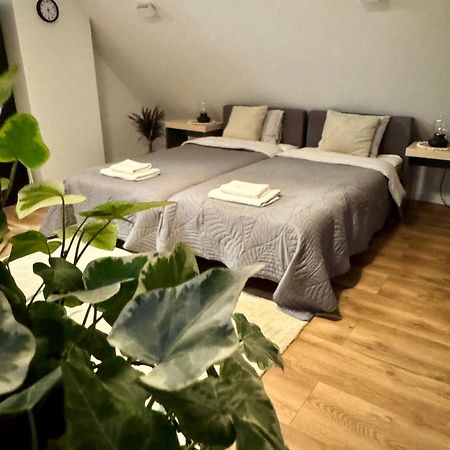 Apartamenty Astor - Ksiezycowy Szczawno-Zdroj Eksteriør billede