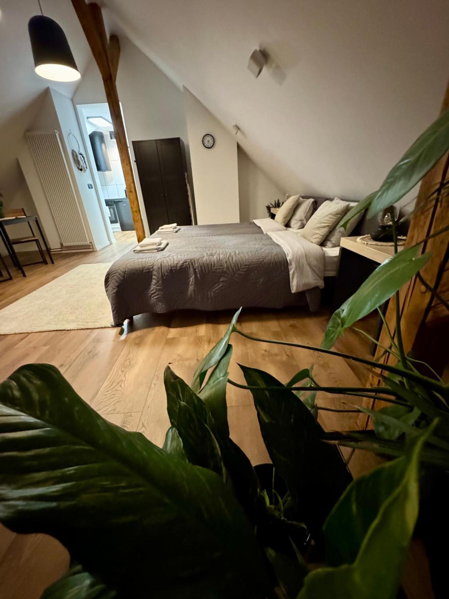 Apartamenty Astor - Ksiezycowy Szczawno-Zdroj Eksteriør billede